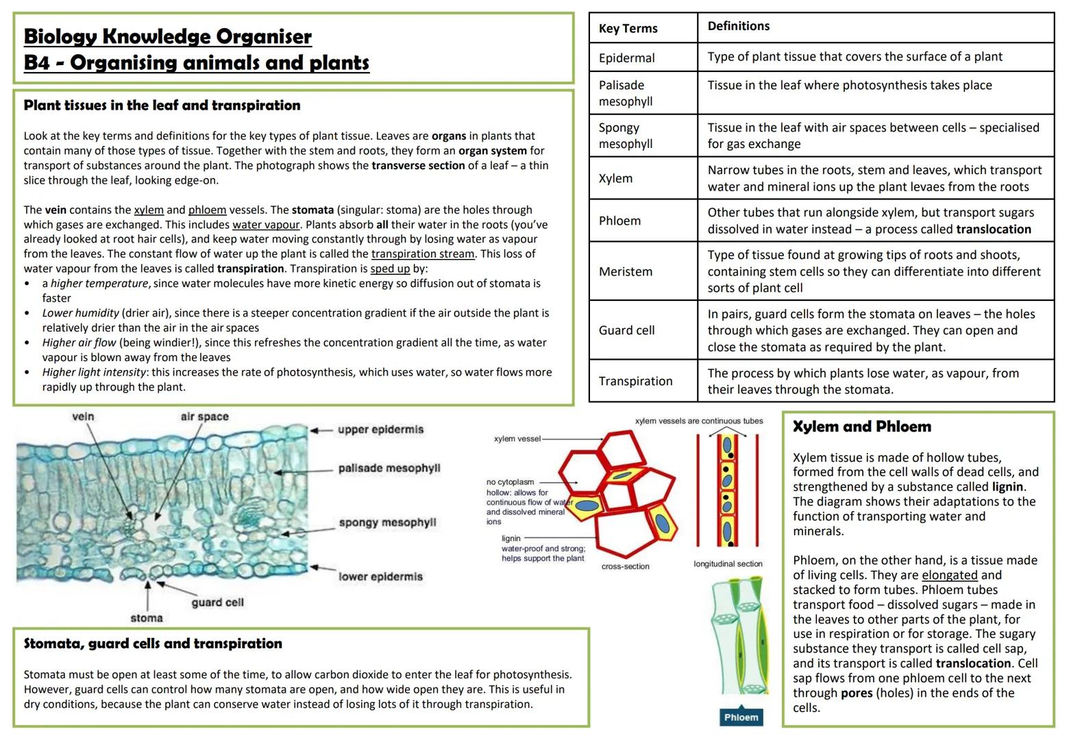 # Biology Knowledge Organiser
# B4 - Organising animals and plants

## The heart

The heart is an organ whose role is to pump blood around t