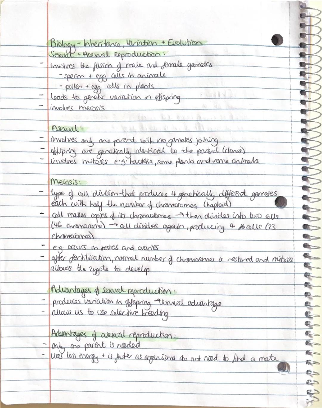 Biology - Inheritance, Variation + Evolution
Sexual + Asexual Reproduction:
involves the fusion of male and female gametes
- sperm + egg cel