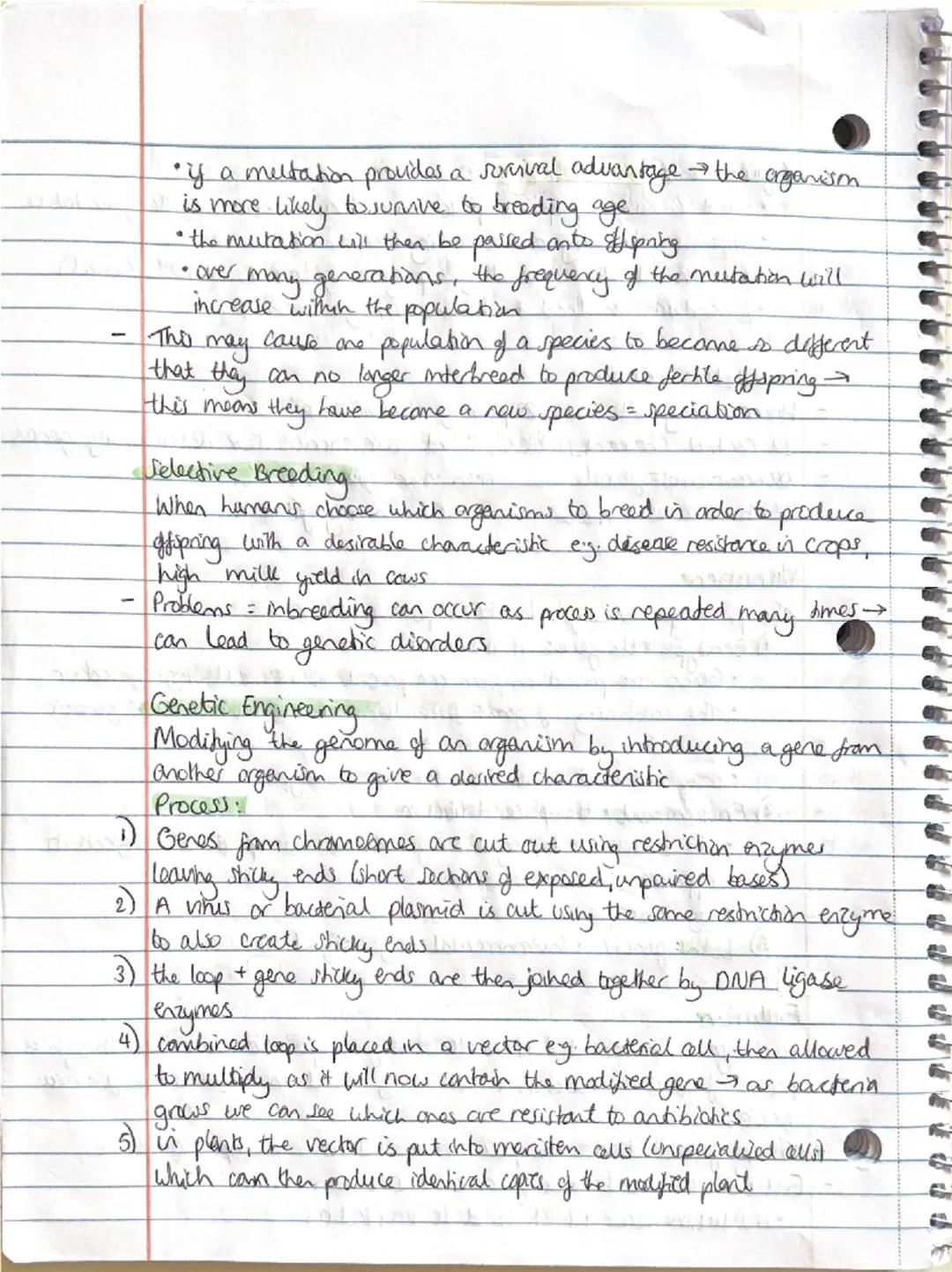 Biology - Inheritance, Variation + Evolution
Sexual + Asexual Reproduction:
involves the fusion of male and female gametes
- sperm + egg cel