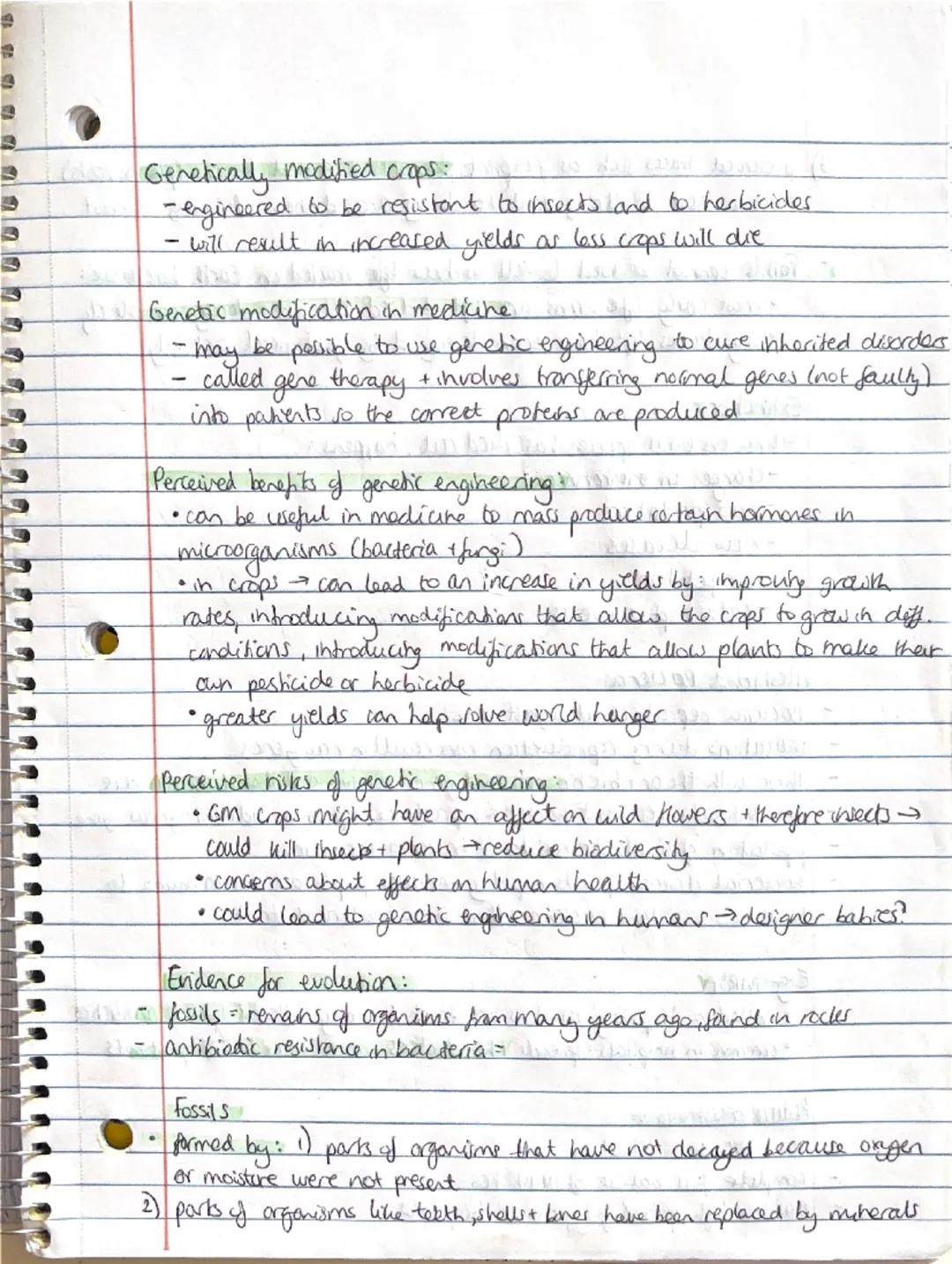 Biology - Inheritance, Variation + Evolution
Sexual + Asexual Reproduction:
involves the fusion of male and female gametes
- sperm + egg cel