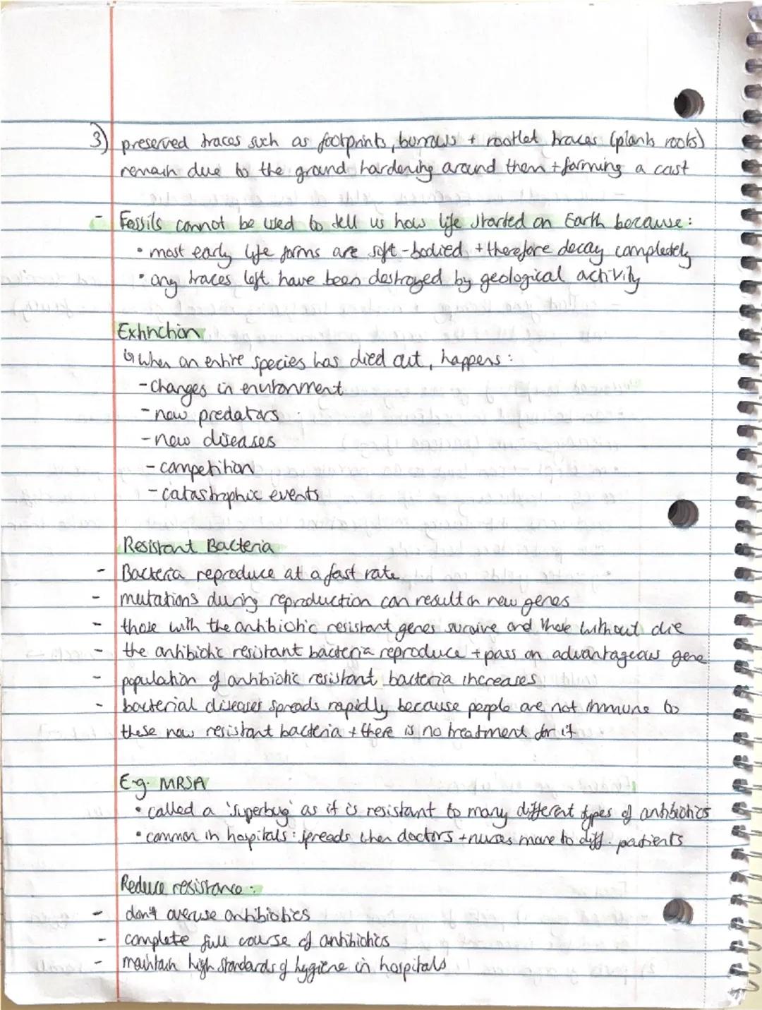 Biology - Inheritance, Variation + Evolution
Sexual + Asexual Reproduction:
involves the fusion of male and female gametes
- sperm + egg cel