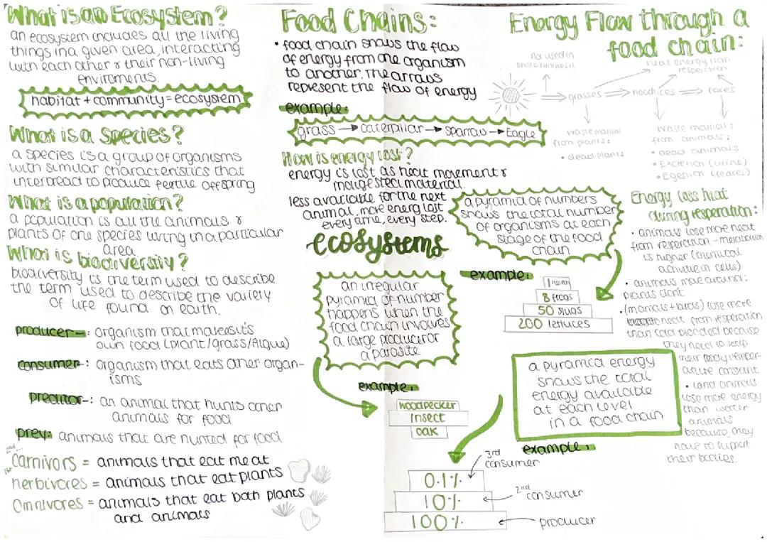 Biology | Ecosystems