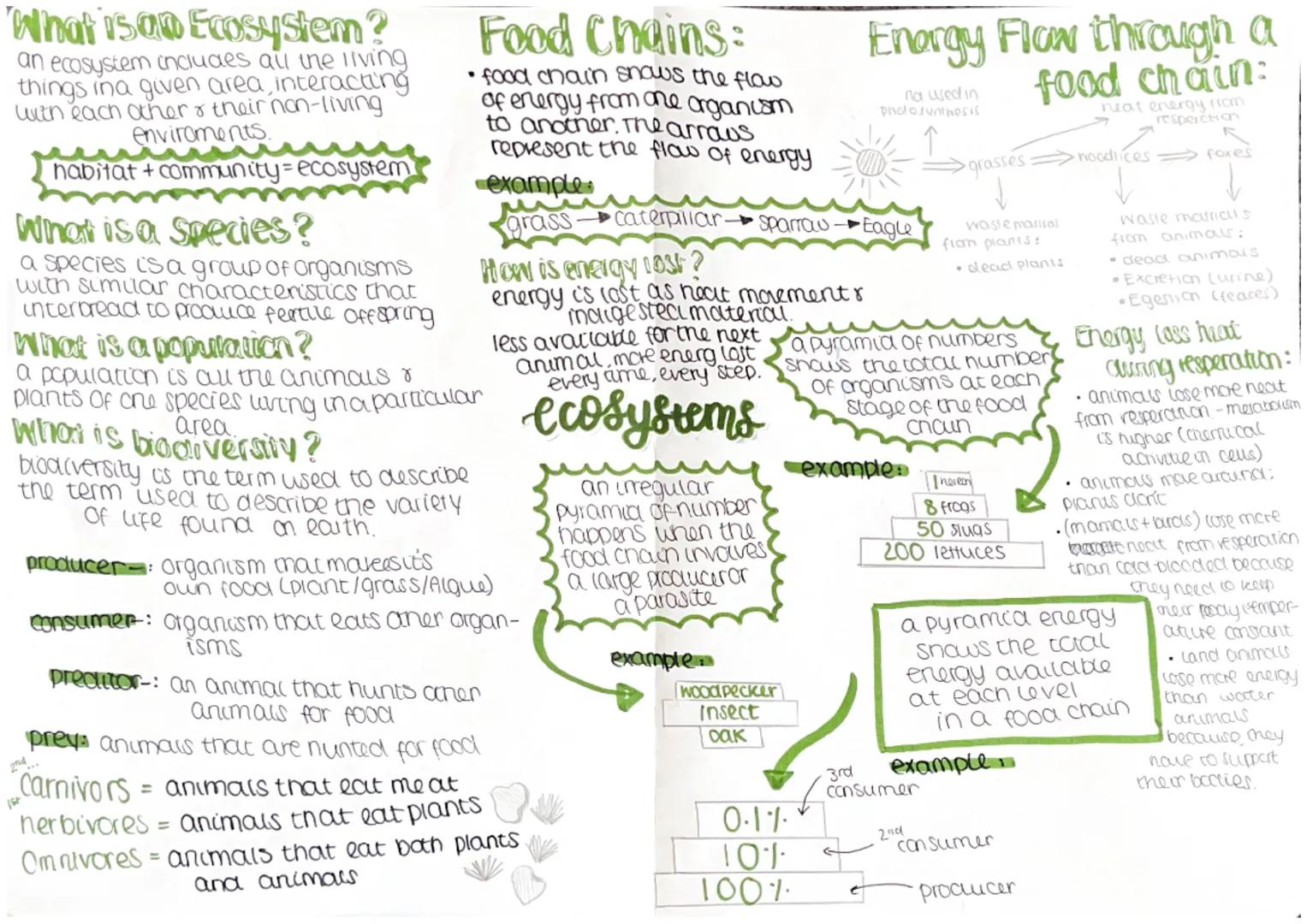 What is an Ecosystem?
an ecosystem includes all the living
things ina given area, interacting
with each other r their non-living
enviroments