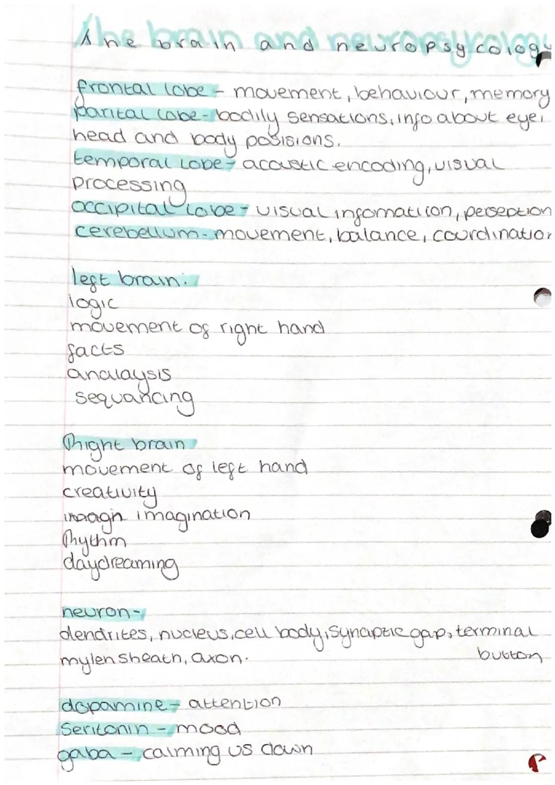 psychology the brain and neuropsychology 