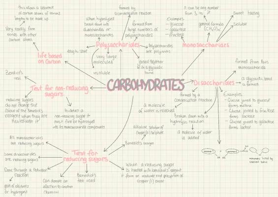 Know carbohydrates mind map thumbnail