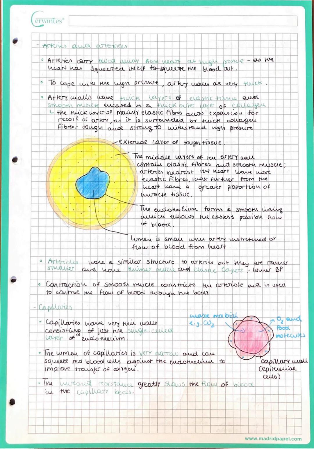 # Cervantes

- Components of blood & functions

Puasma

• Your blood plasma is the fluid part of you mars trasport
System. Over 50% of the b