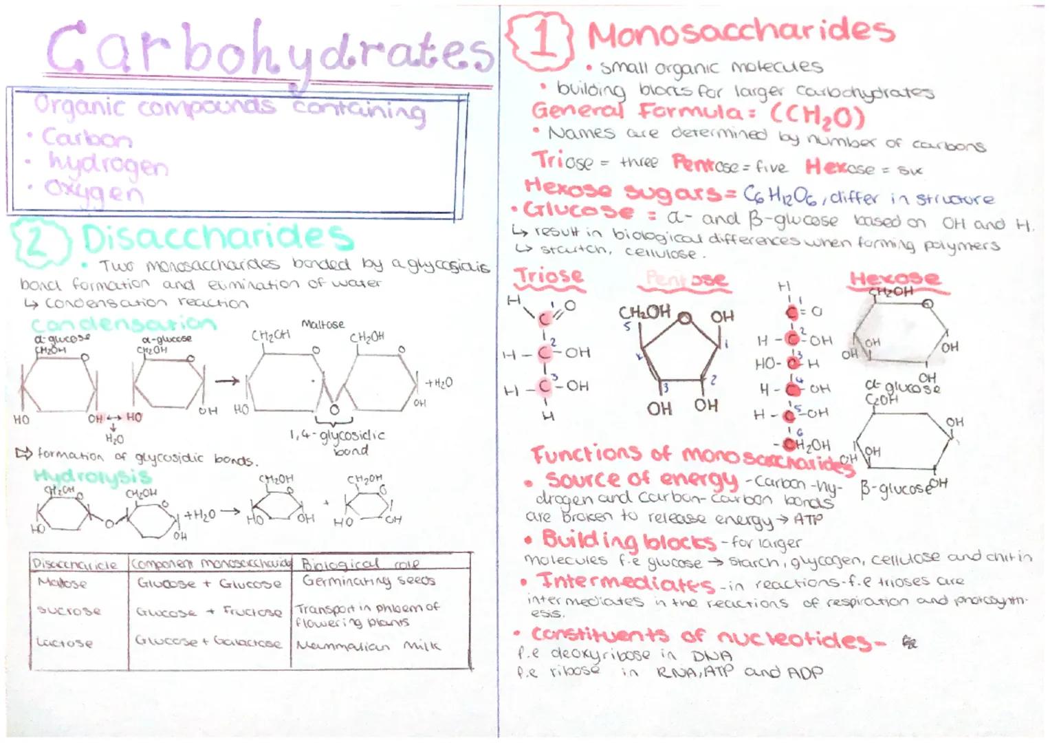 # Carbohydrates

Organic compounds containing

*   Carbon
*   hydrogen
*   Oxygen

(2) Disaccharides

.

*   Two monosaccharides bonded by a