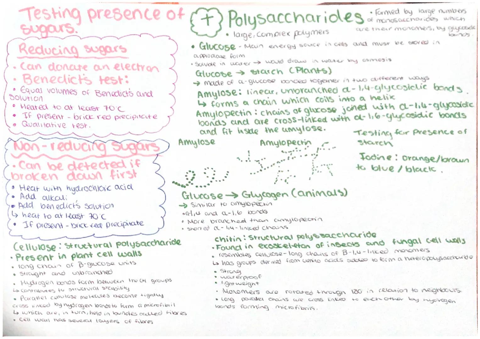 # Carbohydrates

Organic compounds containing

*   Carbon
*   hydrogen
*   Oxygen

(2) Disaccharides

.

*   Two monosaccharides bonded by a