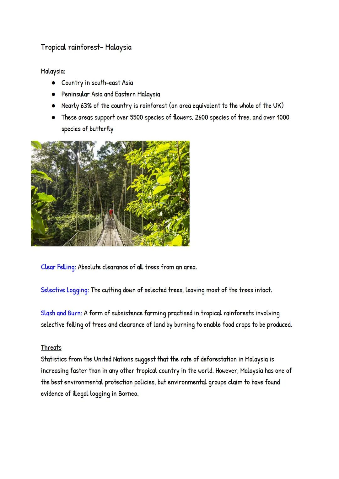 Tropical rainforest- Malaysia
Malaysia:
• Country in south-east Asia
• Peninsular Asia and Eastern Malaysia
• Nearly 63% of the country is r