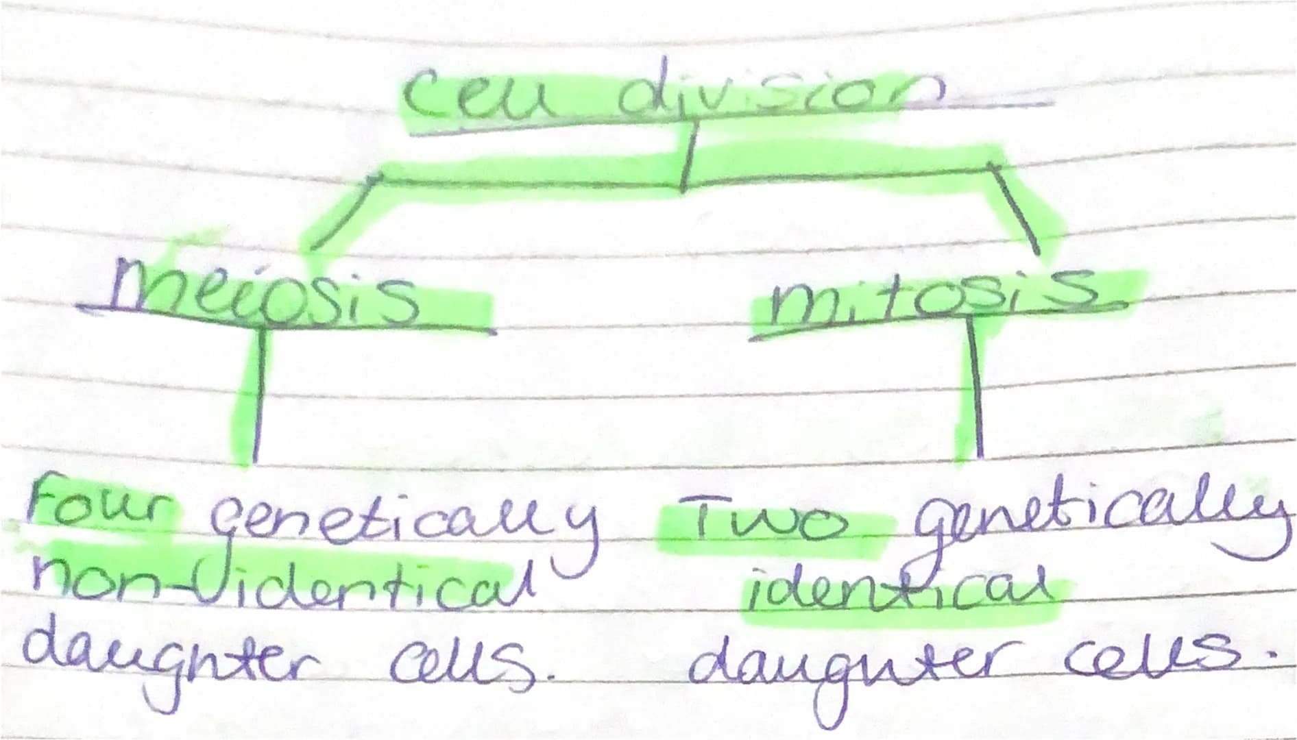 ceu division
meiosis
mitosis
Four
Genetica
non ya Two.
ally
daughter cells.
genetically
identical
daughter cells. cells split-
сеи
Fach
has 