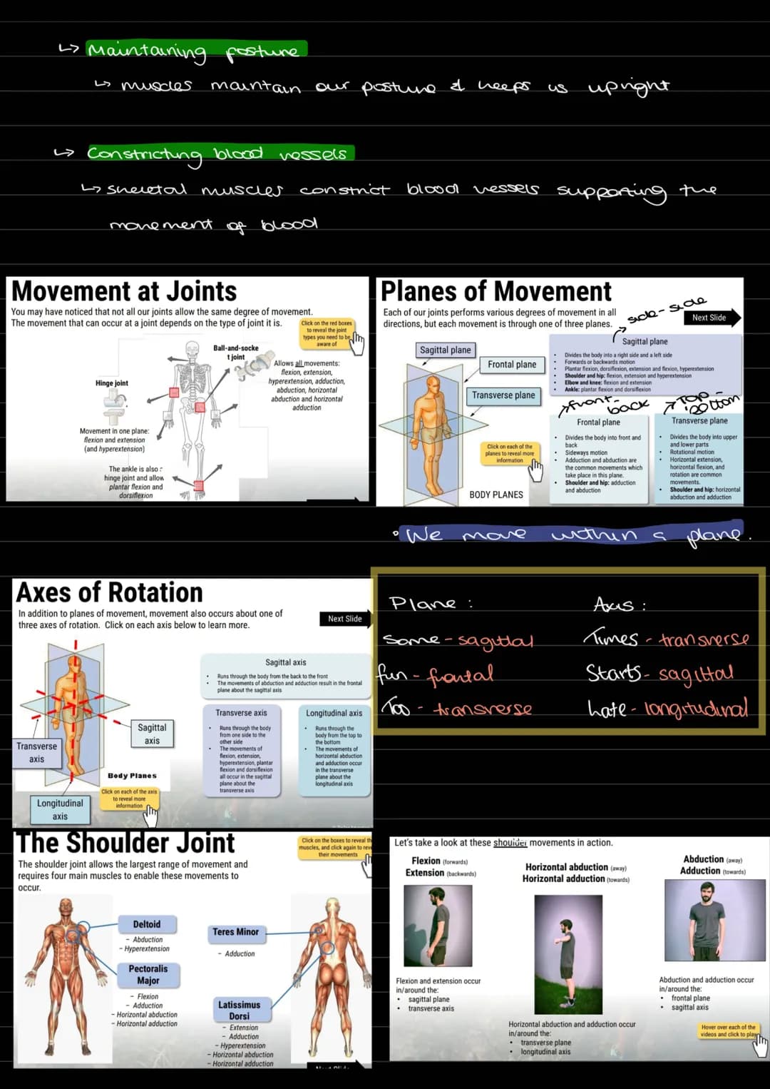 Skeletal
O
0
6
Mineral
Storage
Protection of vital organs
formation of jounts to allow
Production of
cells
Support
muscle functions
Movement
