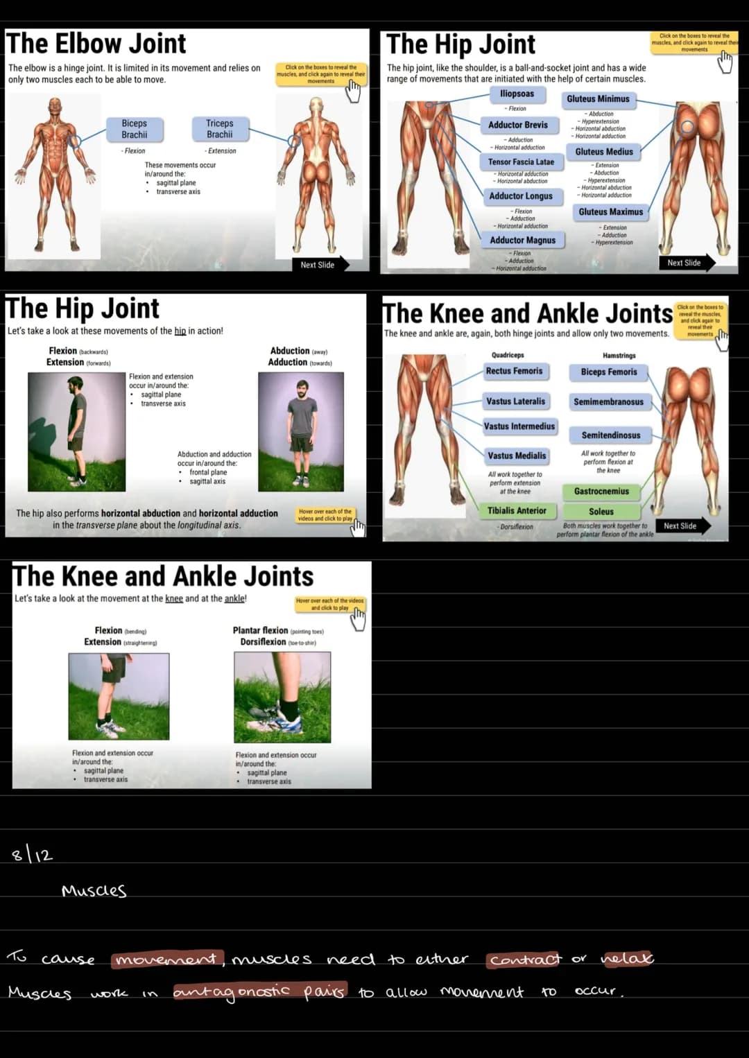 Skeletal
O
0
6
Mineral
Storage
Protection of vital organs
formation of jounts to allow
Production of
cells
Support
muscle functions
Movement