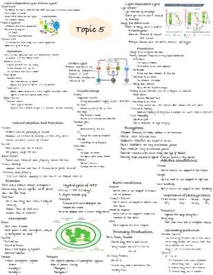 Know Topic Five A level Biology thumbnail