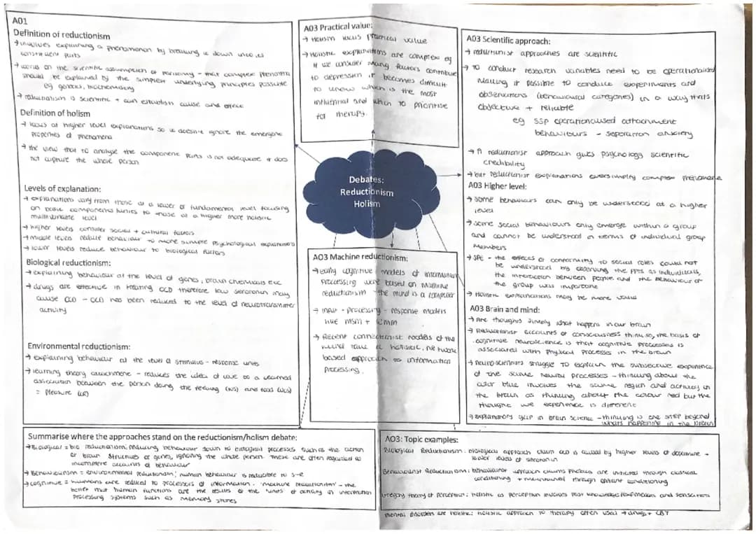 Fun Mind Maps for AQA Psychology Issues, Reductionism, and Holism