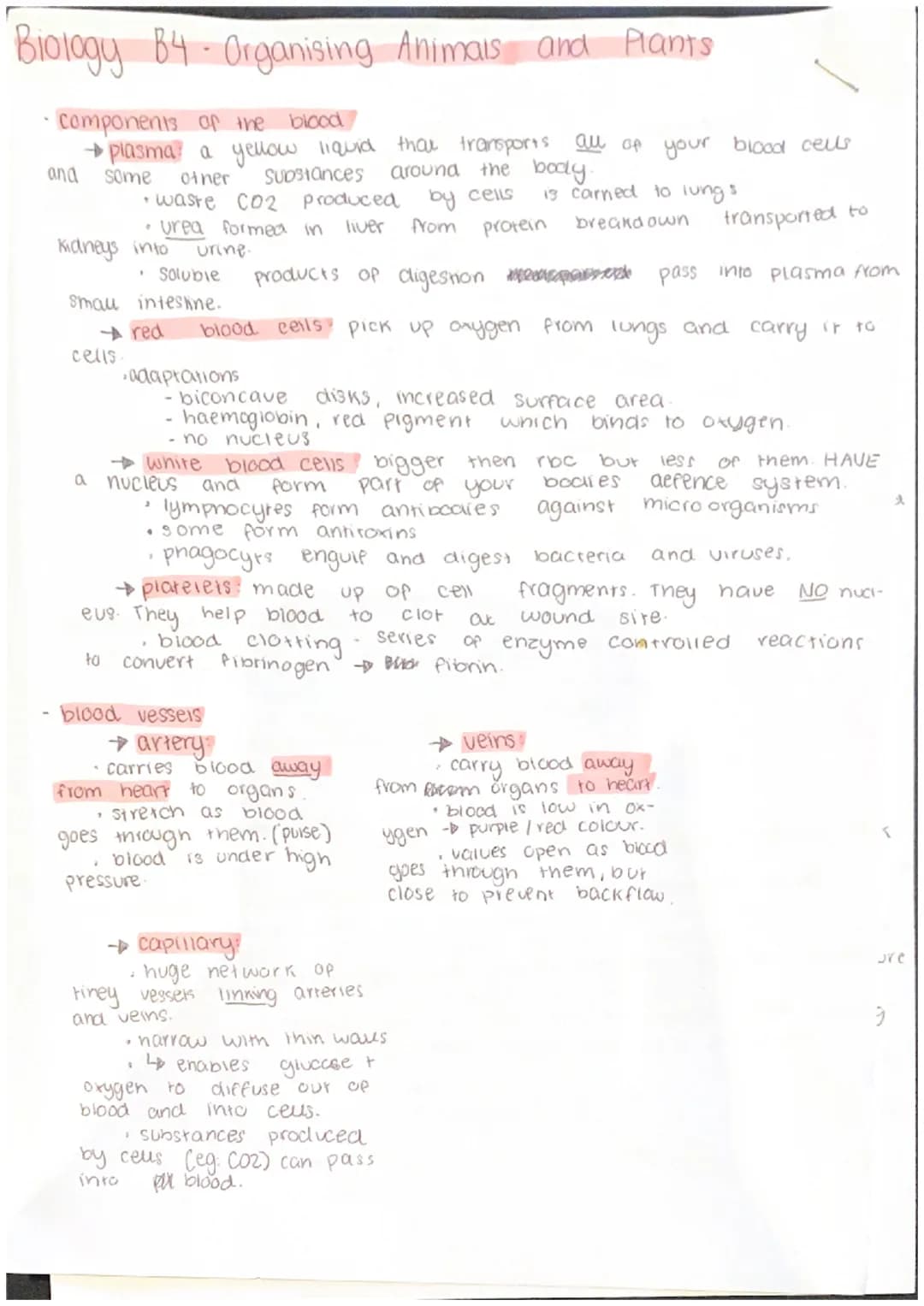 Biology B4 - Organising Animals and Plants
components
of the blood
and some
→ plasma a yellow liquid that transports all of your blood cells