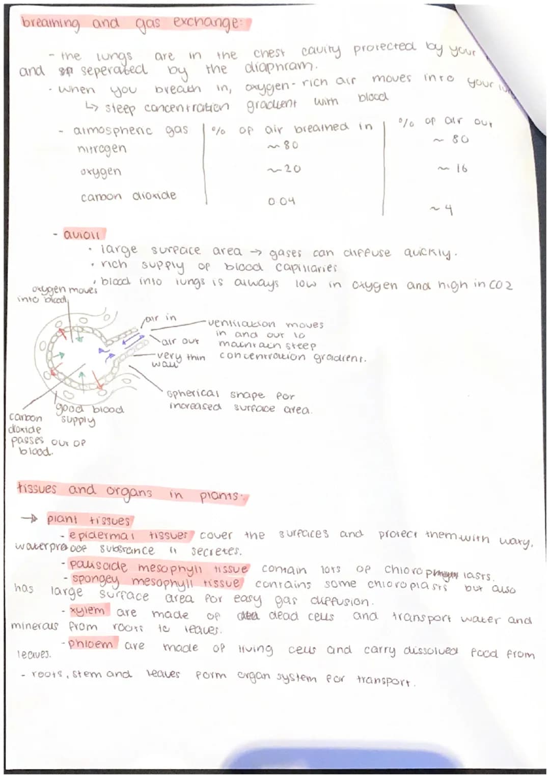 Biology B4 - Organising Animals and Plants
components
of the blood
and some
→ plasma a yellow liquid that transports all of your blood cells