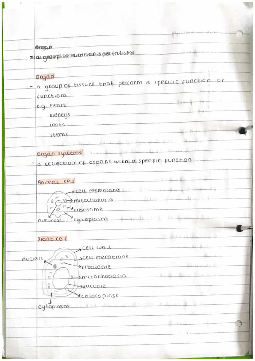 unit 1- biology
Eukaryotic
cells
Tissue
↓
Organ
Organ system
Organism
Cell Theory
- All ure on Earth is composed of units caued ceus.
-ceus 