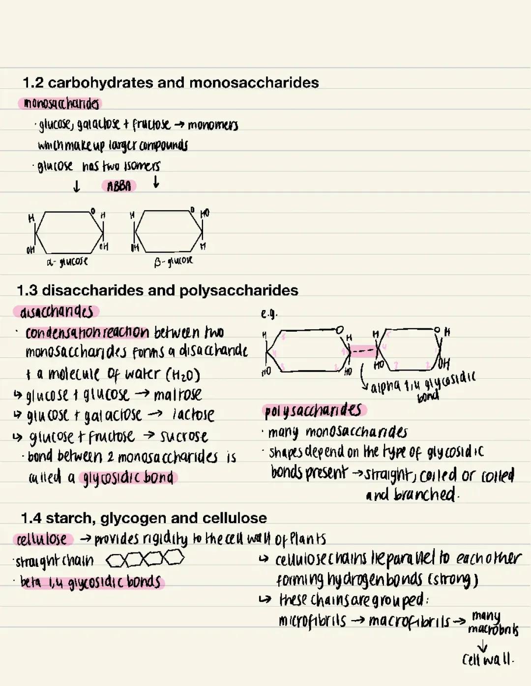 carbohydrates 