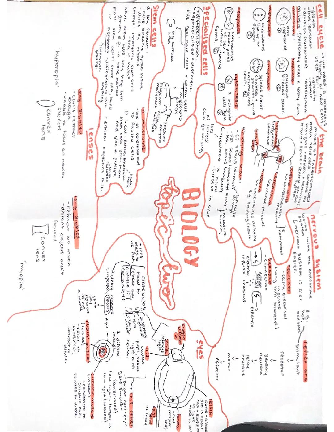 edexcel biology topic 2