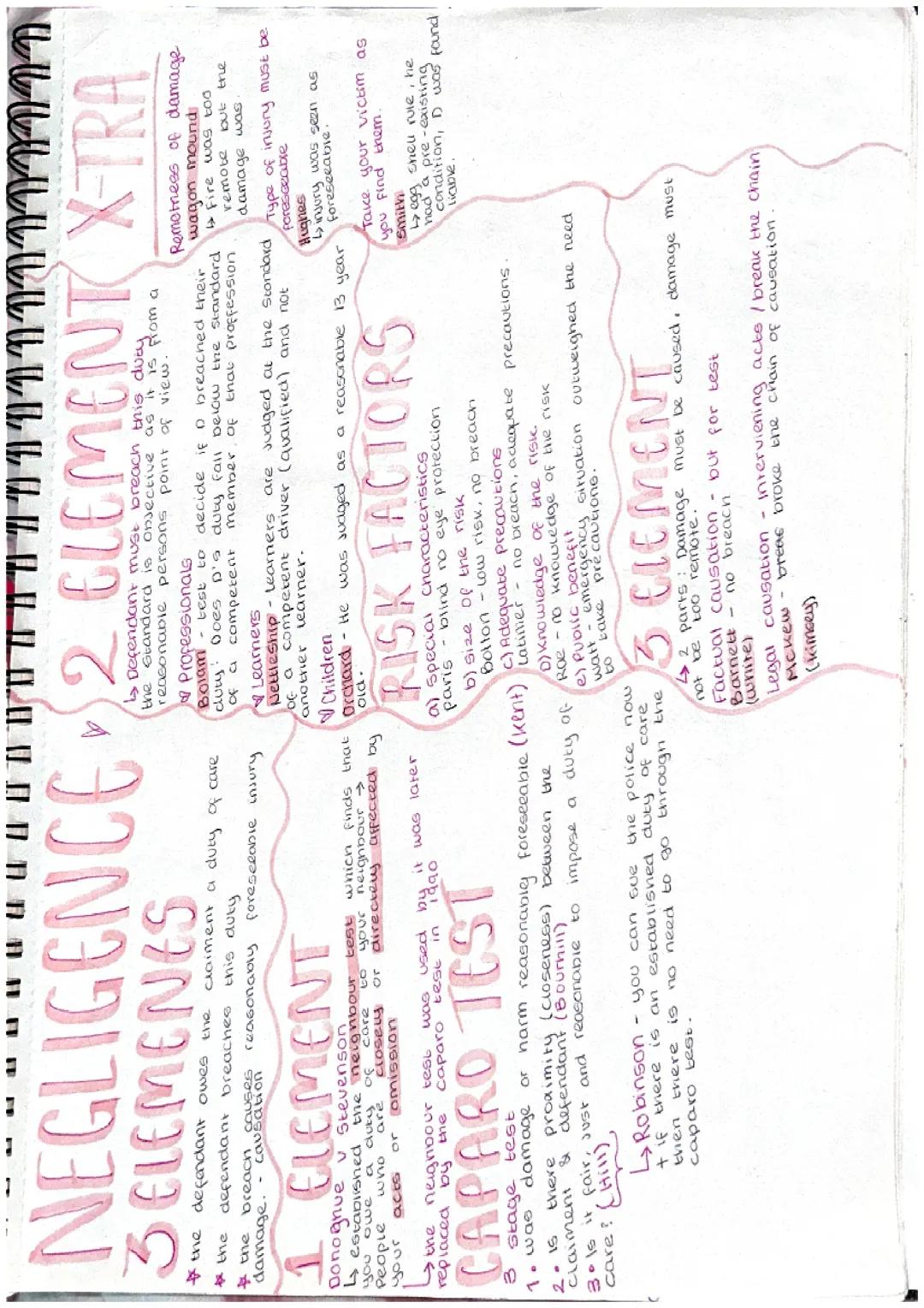 Negligence Tort Law Notes 