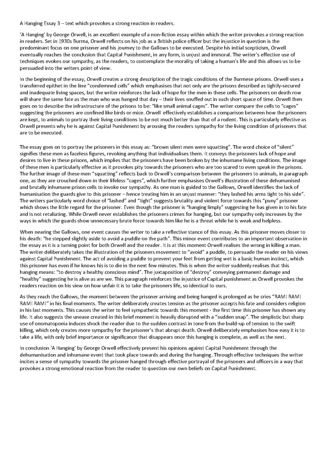 George Orwell's A Hanging - Non-Fiction Essay Examples and Topics
