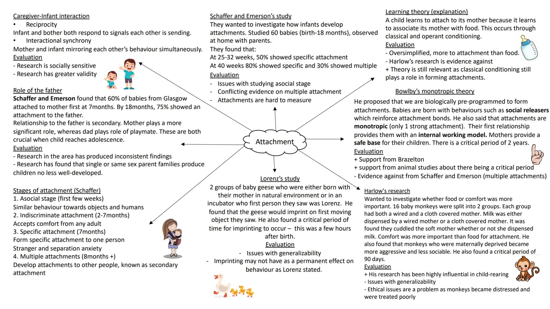 Caregiver-Infant interaction
Reciprocity
Infant and bother both respond to signals each other is sending.
Interactional synchrony
Mother and