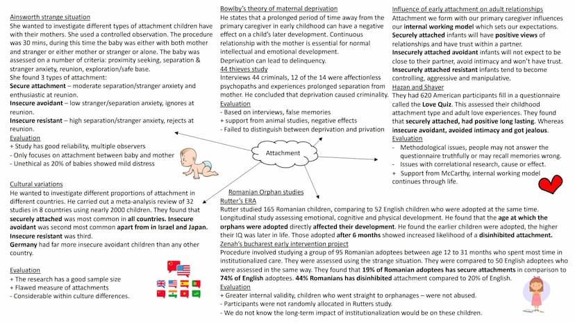 Caregiver-Infant interaction
Reciprocity
Infant and bother both respond to signals each other is sending.
Interactional synchrony
Mother and