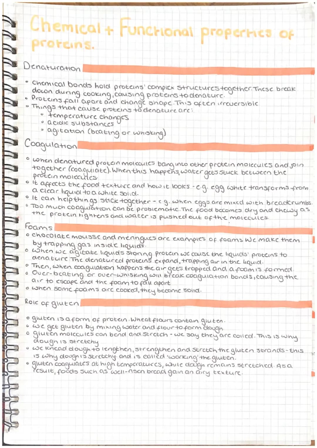 Understanding Proteins in Food: Fun Facts About Gluten, Dextrinization, and More!