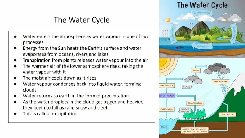 Ecology Unit
Year 10 https://getrevising.co.uk/grids/fish-far
ming
Revision Links
https://cdn.savemyexams.co.uk/cdn-c
gi/image/w=1920,f=auto