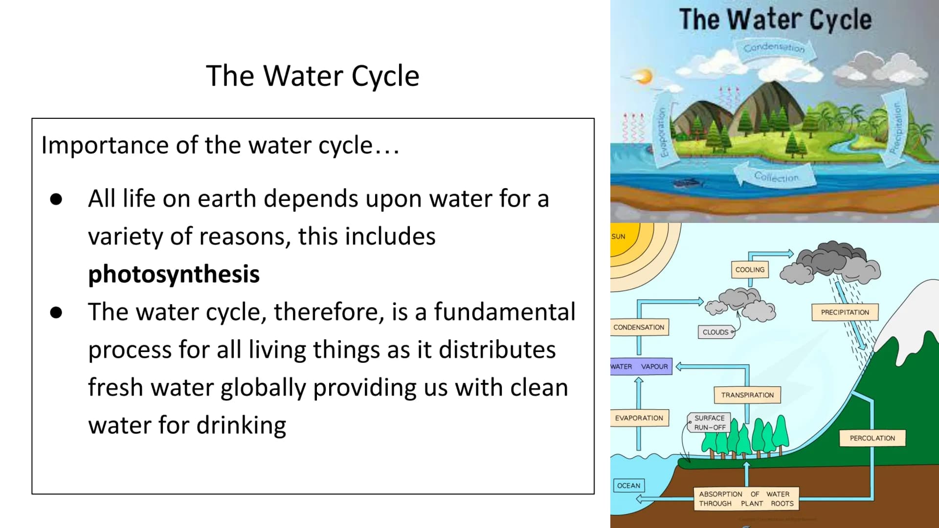 Ecology Unit
Year 10 https://getrevising.co.uk/grids/fish-far
ming
Revision Links
https://cdn.savemyexams.co.uk/cdn-c
gi/image/w=1920,f=auto