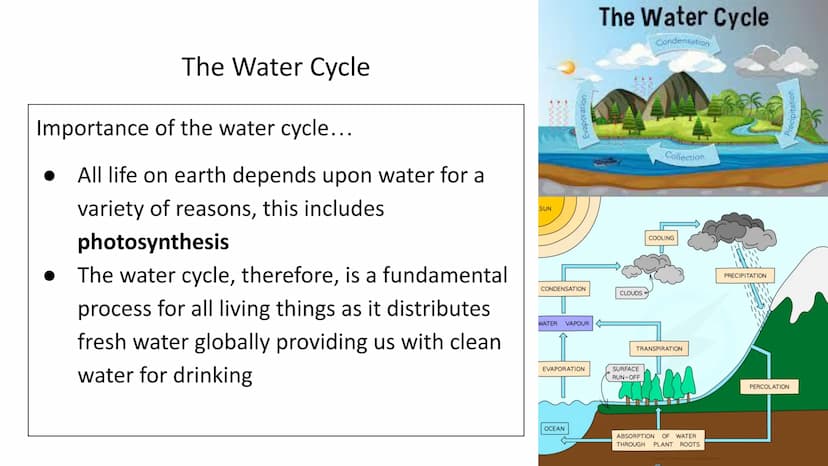 Ecology Unit
Year 10 https://getrevising.co.uk/grids/fish-far
ming
Revision Links
https://cdn.savemyexams.co.uk/cdn-c
gi/image/w=1920,f=auto