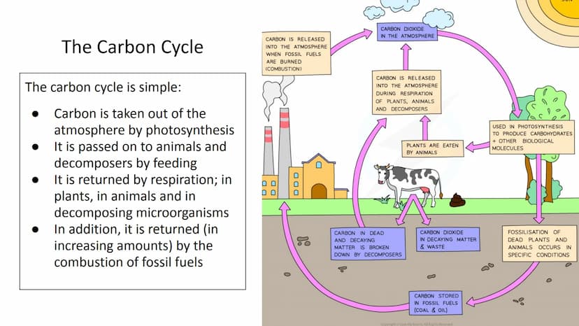 Ecology Unit
Year 10 https://getrevising.co.uk/grids/fish-far
ming
Revision Links
https://cdn.savemyexams.co.uk/cdn-c
gi/image/w=1920,f=auto