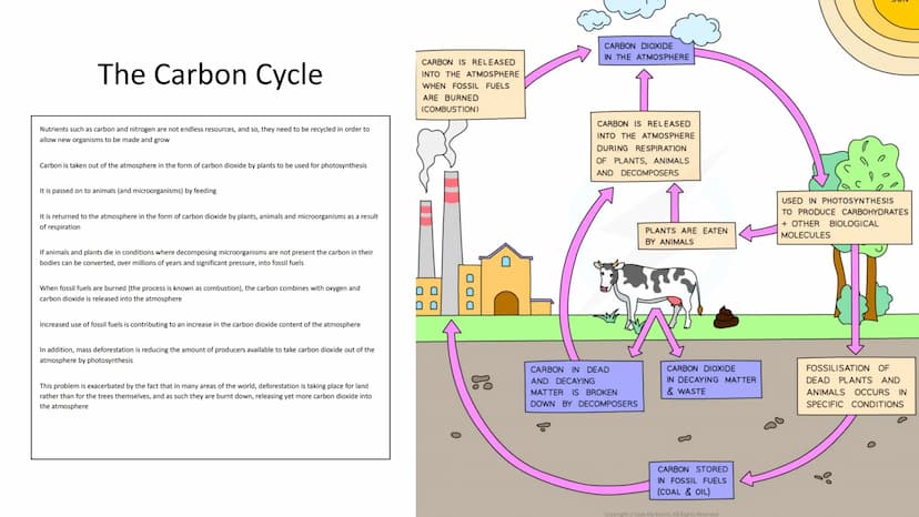 Ecology Unit
Year 10 https://getrevising.co.uk/grids/fish-far
ming
Revision Links
https://cdn.savemyexams.co.uk/cdn-c
gi/image/w=1920,f=auto