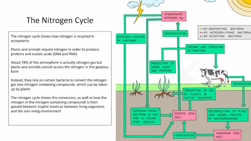 Ecology Unit
Year 10 https://getrevising.co.uk/grids/fish-far
ming
Revision Links
https://cdn.savemyexams.co.uk/cdn-c
gi/image/w=1920,f=auto