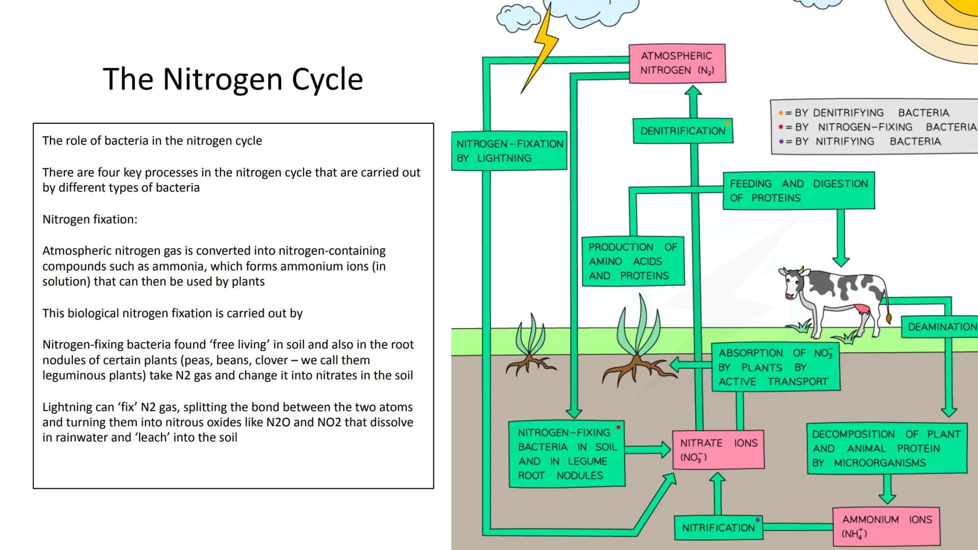 Ecology Unit
Year 10 https://getrevising.co.uk/grids/fish-far
ming
Revision Links
https://cdn.savemyexams.co.uk/cdn-c
gi/image/w=1920,f=auto