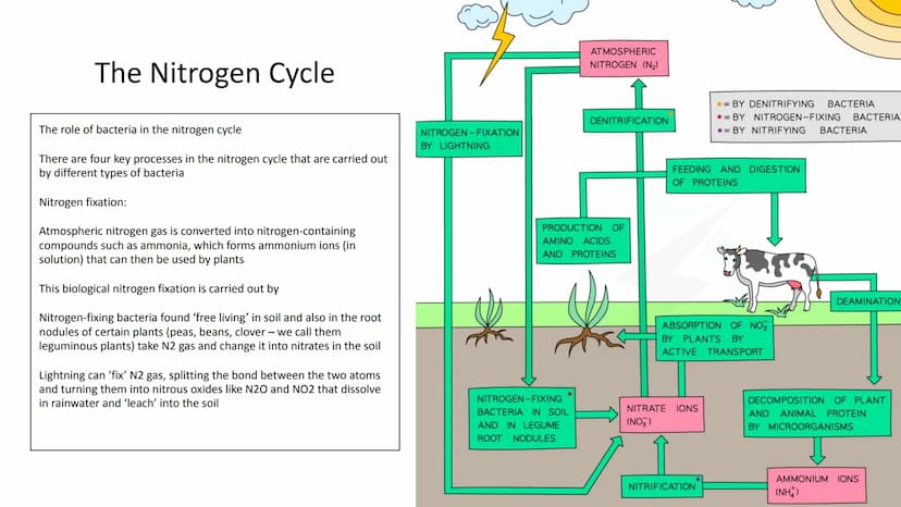 Ecology Unit
Year 10 https://getrevising.co.uk/grids/fish-far
ming
Revision Links
https://cdn.savemyexams.co.uk/cdn-c
gi/image/w=1920,f=auto