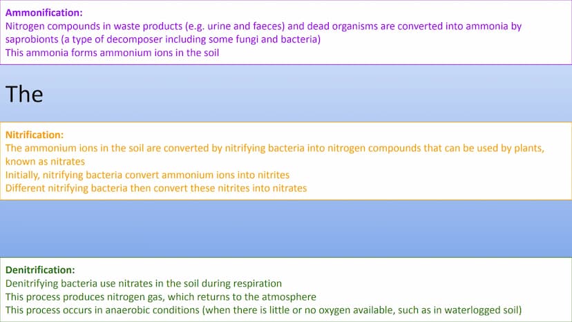 Ecology Unit
Year 10 https://getrevising.co.uk/grids/fish-far
ming
Revision Links
https://cdn.savemyexams.co.uk/cdn-c
gi/image/w=1920,f=auto