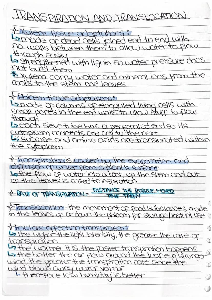 4
TOPIC 6
PLANT STRUCTURES AND
THEIR FUNCTIONS
* PHOTOSYNTHESIS
LIGHT
CARBON DIOXIDE + WATER. > GLUCOSE + OXYGEN
CHLOROPHYLL
Photosynthetic 