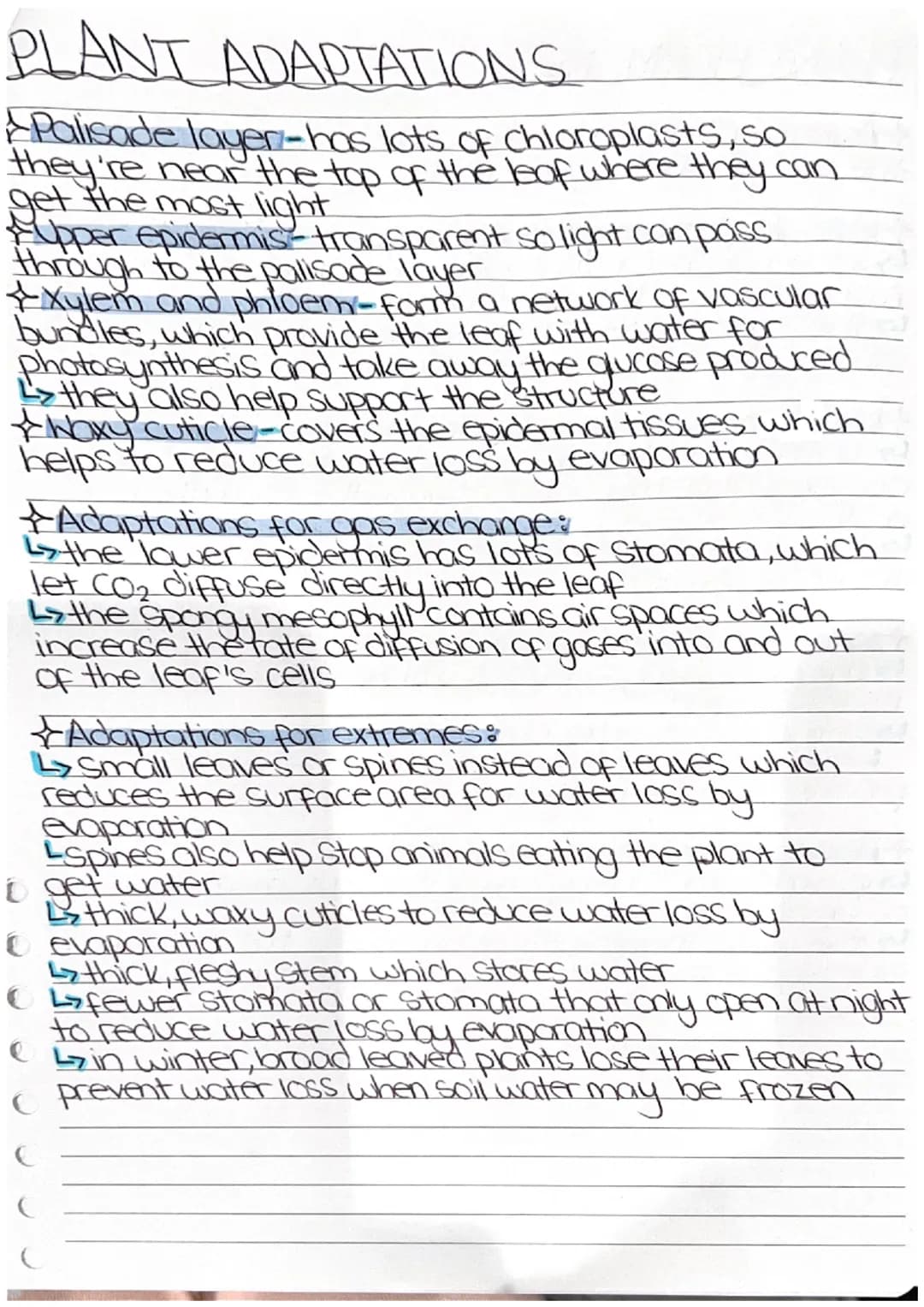 4
TOPIC 6
PLANT STRUCTURES AND
THEIR FUNCTIONS
* PHOTOSYNTHESIS
LIGHT
CARBON DIOXIDE + WATER. > GLUCOSE + OXYGEN
CHLOROPHYLL
Photosynthetic 