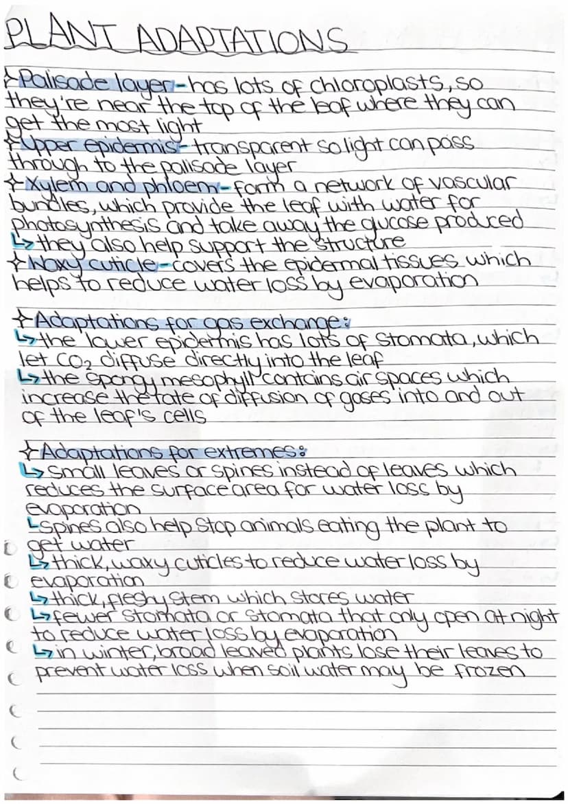 4
TOPIC 6
PLANT STRUCTURES AND
THEIR FUNCTIONS
* PHOTOSYNTHESIS
LIGHT
CARBON DIOXIDE + WATER. > GLUCOSE + OXYGEN
CHLOROPHYLL
Photosynthetic 
