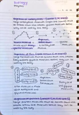 Know Enzymes Notes thumbnail