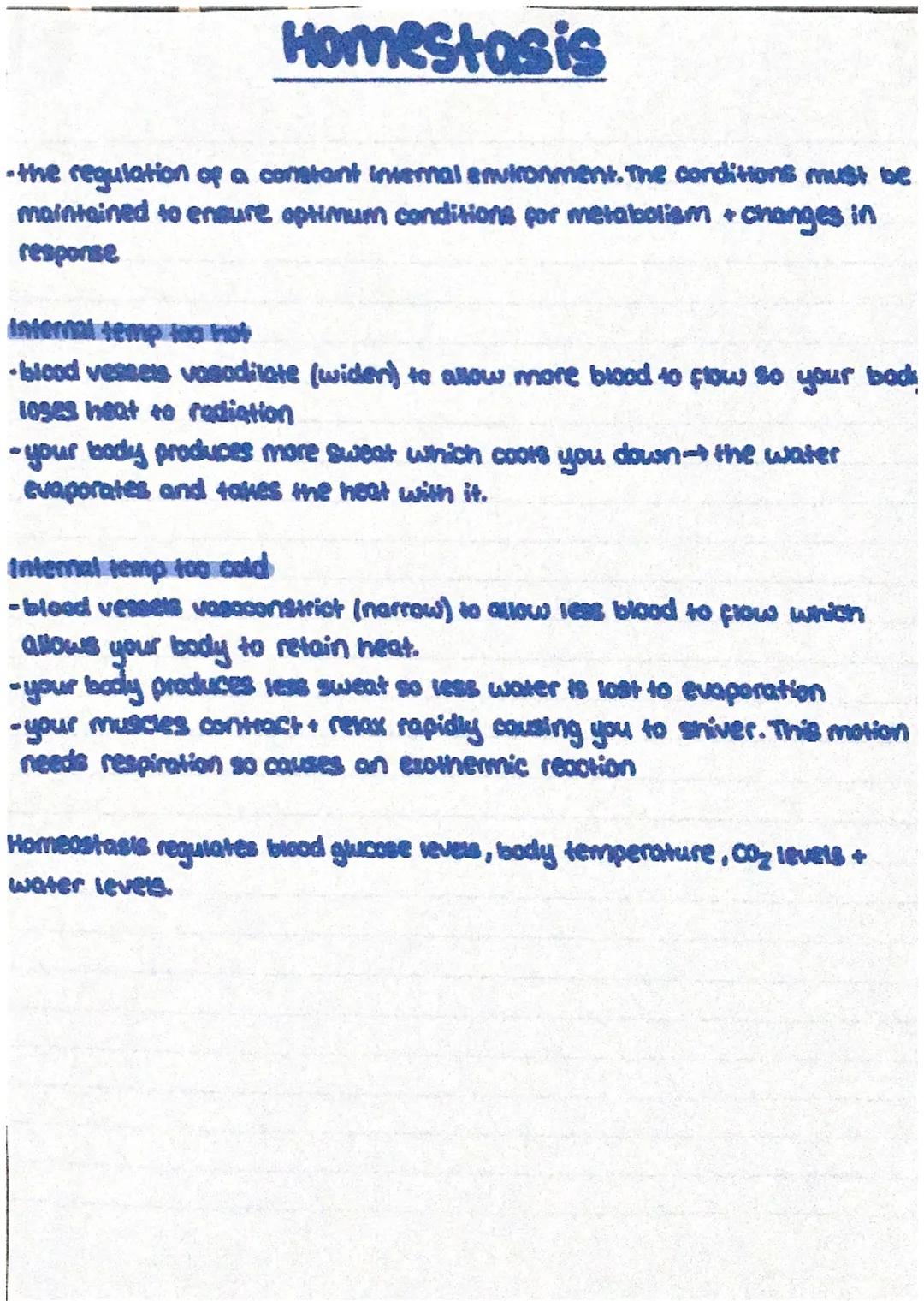 Iris
controls the sixt
of the pupil
Pupil
-the hole through
which light enfers
the eye
lens
-a clear disc that
focuses the light
rays on the