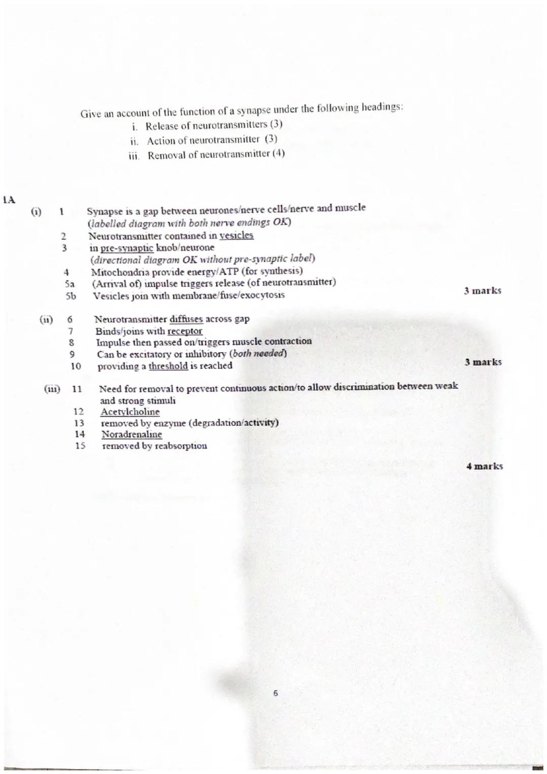 Essay Booklet- Unit 3
Neurobiology & Immunology
CfE Higher Human Biology
1 Give an account of the nervous system under the following heading