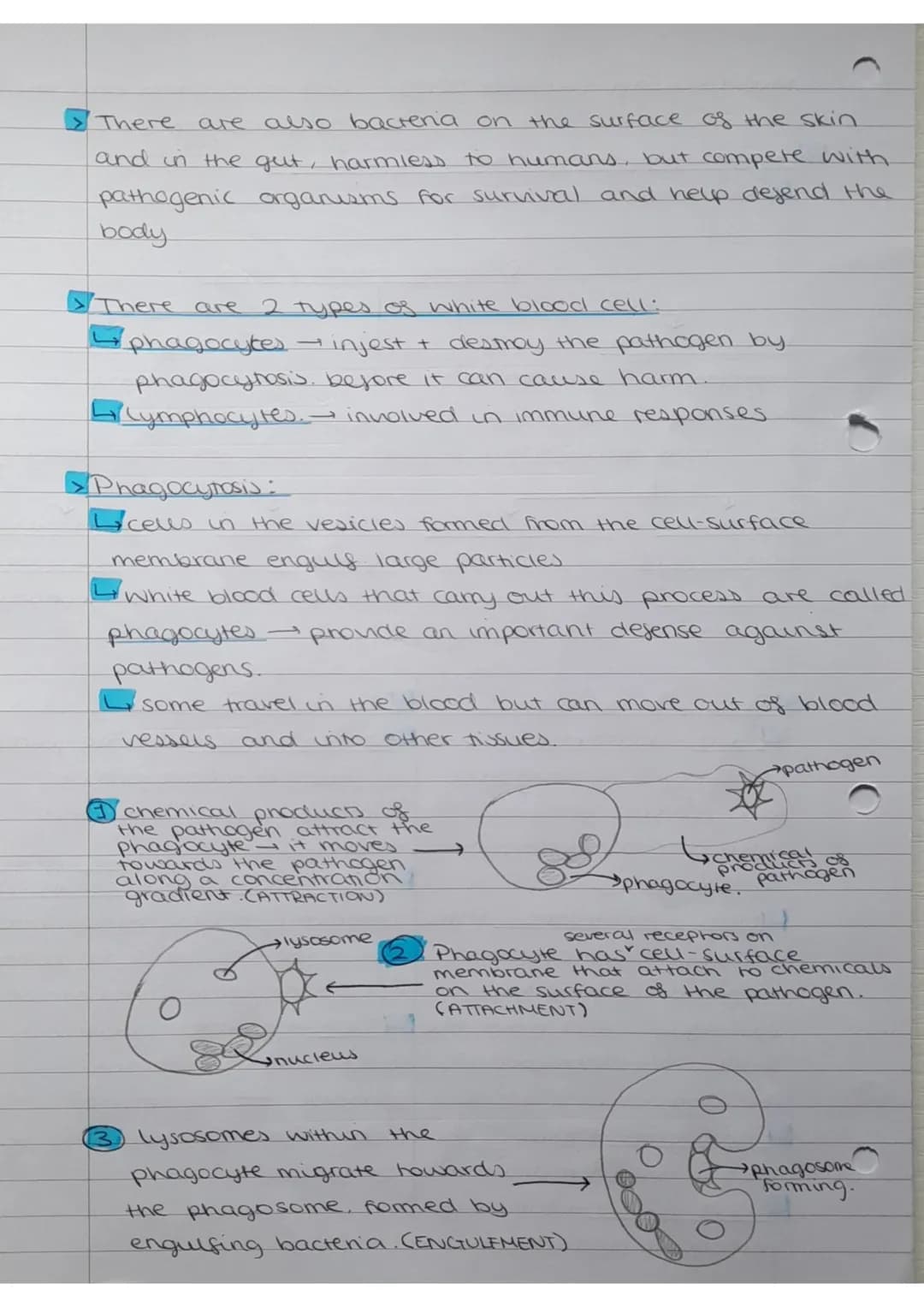 Monday 5th December 2022
What
causes infectious diseases?
Pathogenic organisms.
Non-specific:
response is immediate
and the same for all
pat