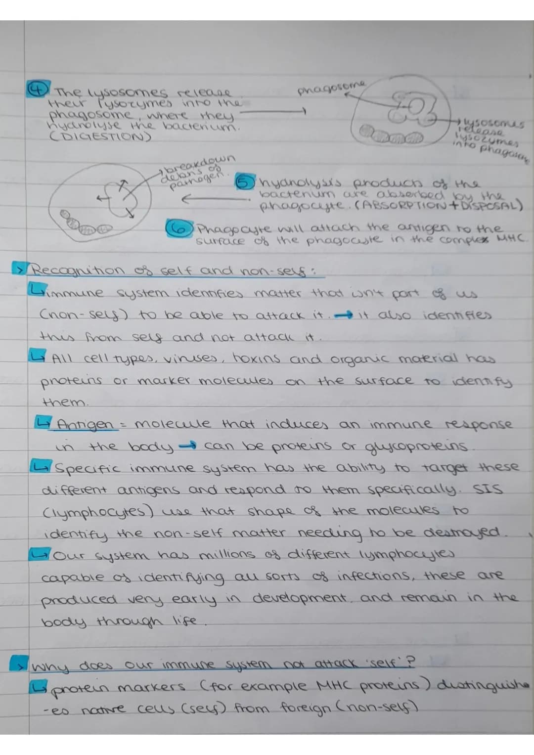 Monday 5th December 2022
What
causes infectious diseases?
Pathogenic organisms.
Non-specific:
response is immediate
and the same for all
pat