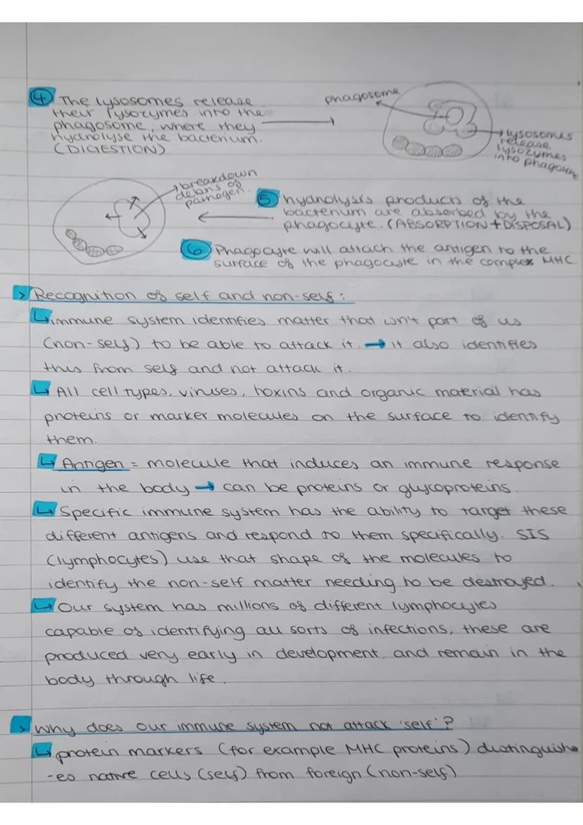 Monday 5th December 2022
What
causes infectious diseases?
Pathogenic organisms.
Non-specific:
response is immediate
and the same for all
pat