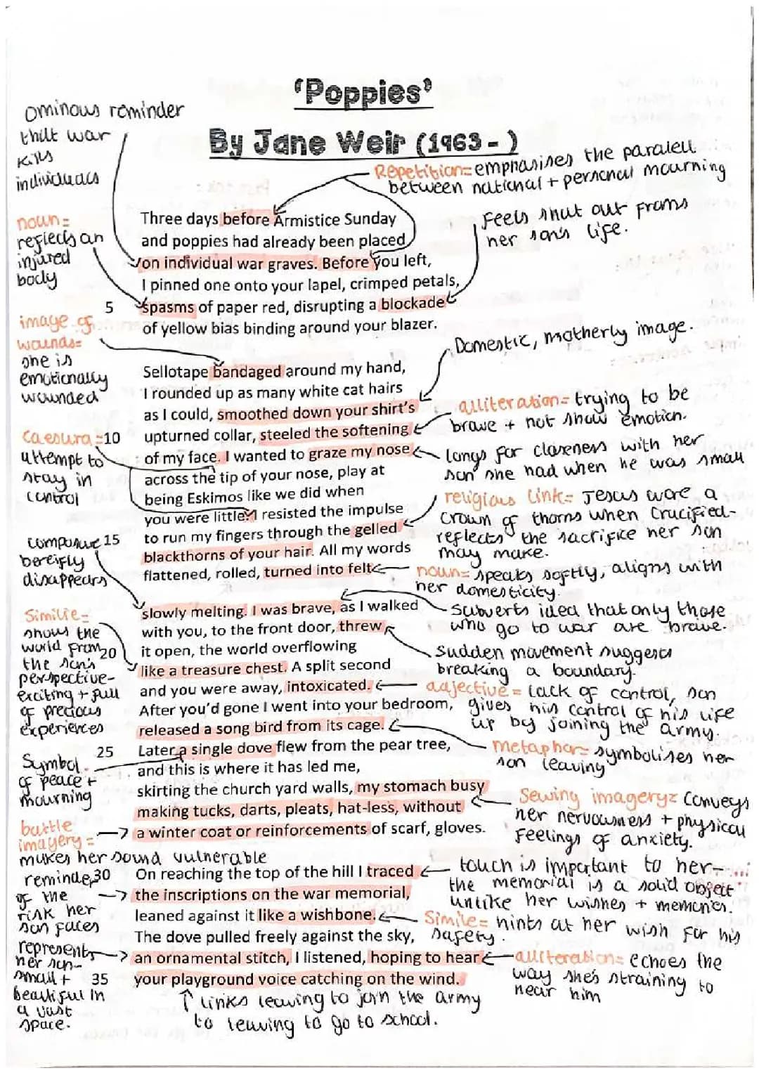 Poppies Jane Weir Analysis: Themes, Quotes, Context, and More!