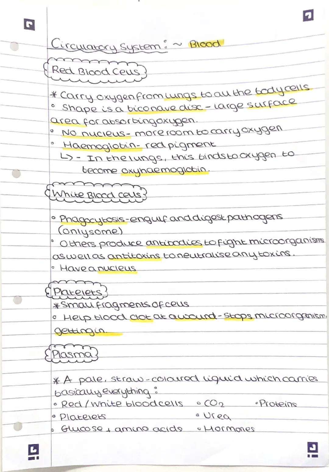 Circulatory System: ~ Blood vessels

Arteries-carry blood away from the heart.
Capillaries - involved in the exchange of materials
at the ti