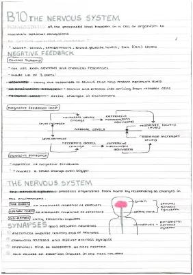 Know b10 The nervous system  thumbnail