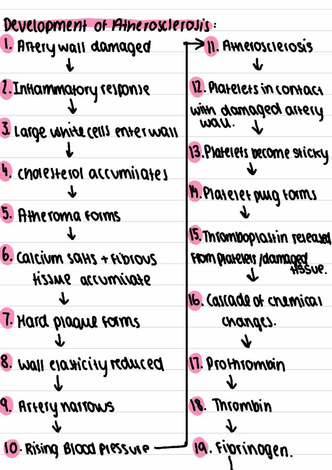 How Blood Clots and Atherosclerosis Form: Easy Steps!